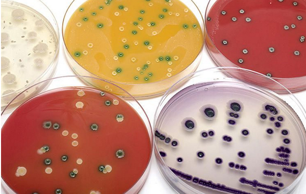 石英晶體驅(qū)動功率測試